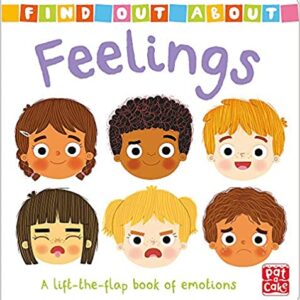Feelings: A lift-the-flap book of emotions